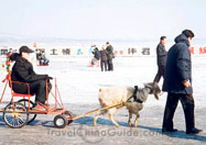 Harbin Photo2